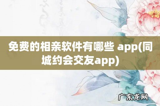 同城约会交友app 免费的相亲软件有哪些 app