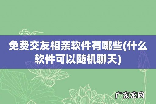 什么软件可以随机聊天 免费交友相亲软件有哪些