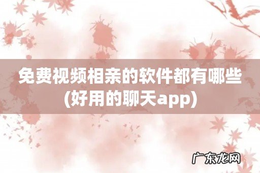 好用的聊天app 免费视频相亲的软件都有哪些
