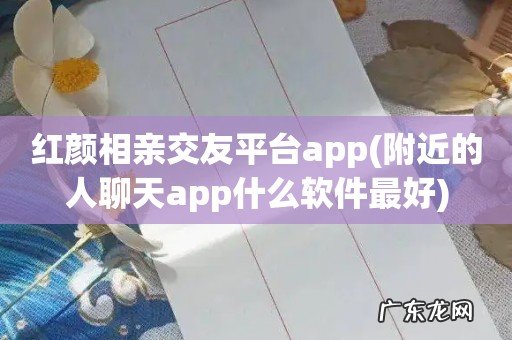 附近的人聊天app什么软件最好 红颜相亲交友平台app