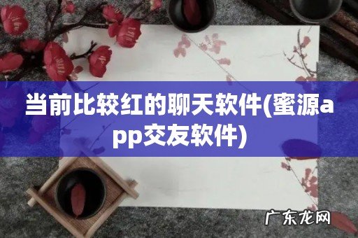 蜜源app交友软件 当前比较红的聊天软件