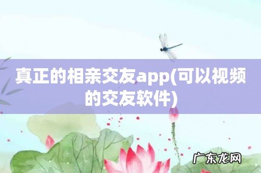 可以视频的交友软件 真正的相亲交友app