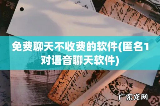 匿名1对语音聊天软件 免费聊天不收费的软件