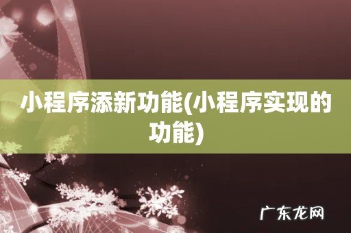 小程序实现的功能 小程序添新功能