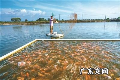 合浦县公馆镇浪坡村 合浦公馆浪坡有多少人口