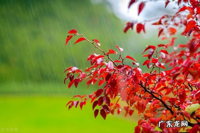 冬至风水禁忌 2022年冬至风水