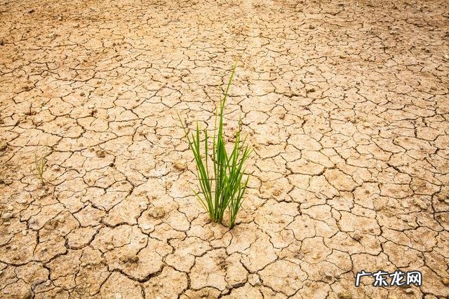 冬至风水禁忌 2022年冬至风水