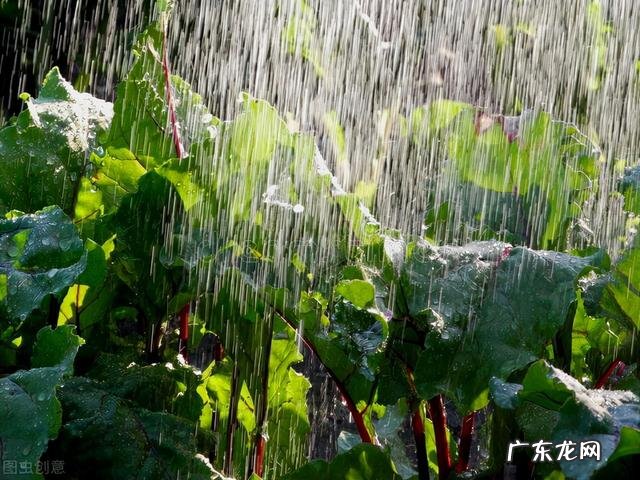 冬至风水禁忌 2022年冬至风水