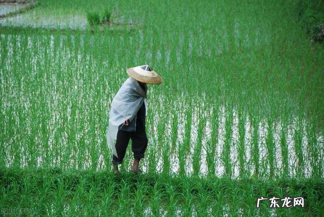 冬至风水禁忌 2022年冬至风水