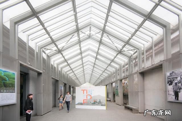 山像乌龟有什么风水 风水龟背山图形