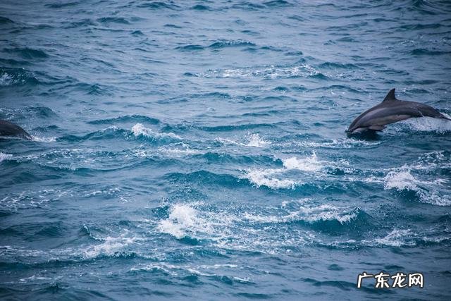 山像乌龟有什么风水 风水龟背山图形
