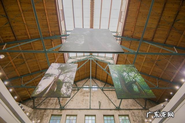 山像乌龟有什么风水 风水龟背山图形