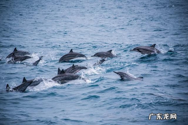 山像乌龟有什么风水 风水龟背山图形