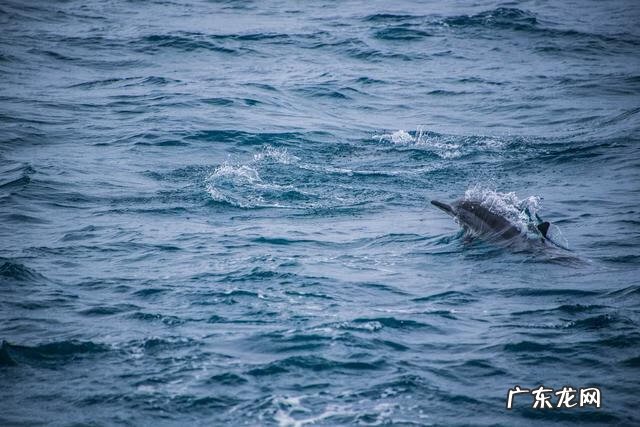 山像乌龟有什么风水 风水龟背山图形