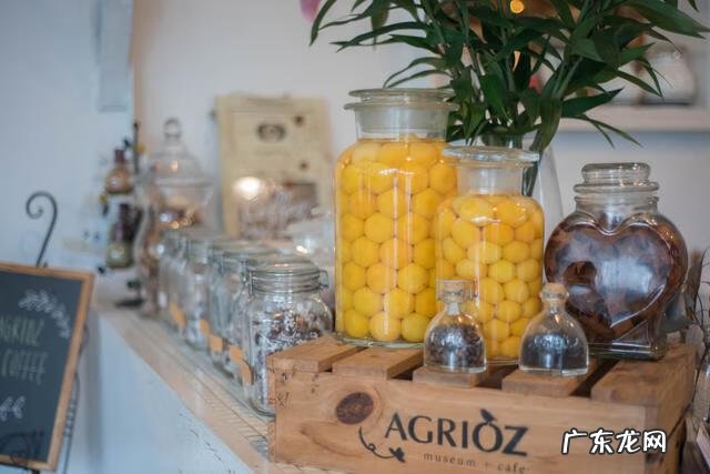 山像乌龟有什么风水 风水龟背山图形