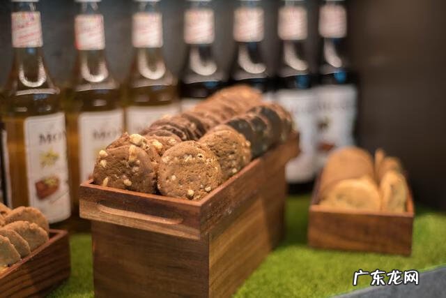 山像乌龟有什么风水 风水龟背山图形