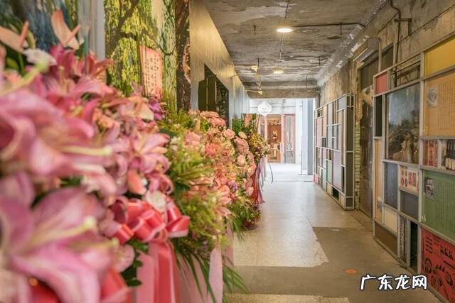 山像乌龟有什么风水 风水龟背山图形