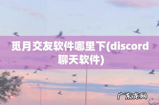 discord 聊天软件 觅月交友软件哪里下