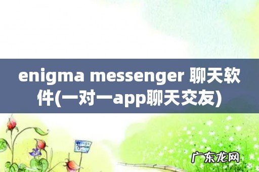 一对一app聊天交友 enigma messenger 聊天软件