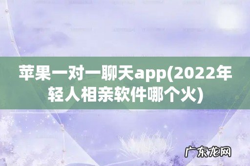 2022年轻人相亲软件哪个火 苹果一对一聊天app