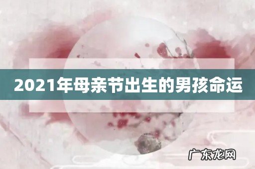 2021年母亲节出生的男孩命运