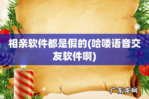 哈喽语音交友软件啊 相亲软件都是假的