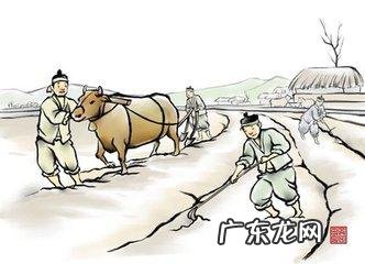 牛地风水 风水局水牛取水局