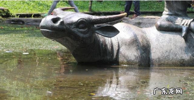 牛地风水 风水局水牛取水局