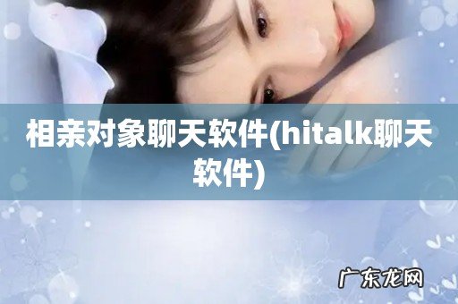 hitalk聊天软件 相亲对象聊天软件