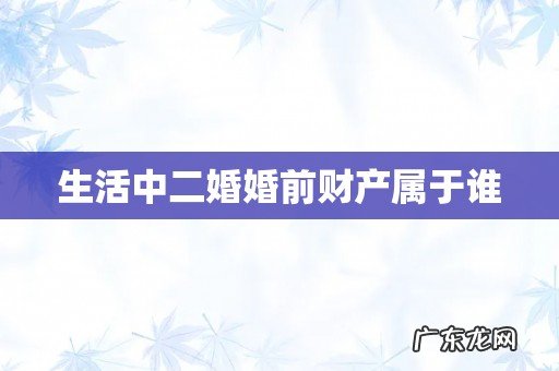 生活中二婚婚前财产属于谁