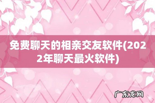 2022年聊天最火软件 免费聊天的相亲交友软件