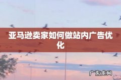 亚马逊卖家如何做站内广告优化