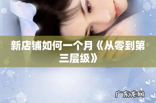 新店铺如何一个月《从零到第三层级》