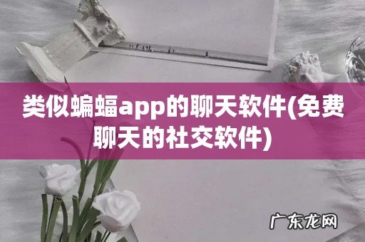 免费聊天的社交软件 类似蝙蝠app的聊天软件