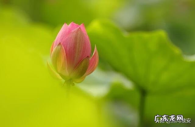 怎么样是自己的风水好起来 看风水运气最好的方法是