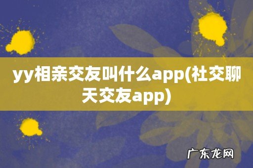 社交聊天交友app yy相亲交友叫什么app