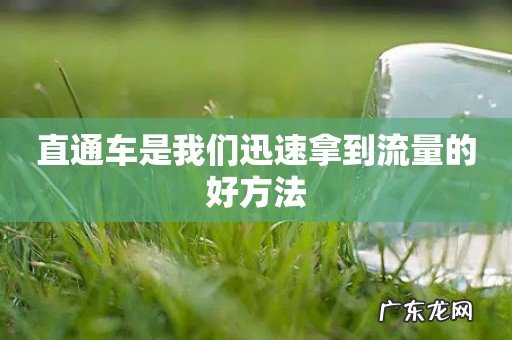 直通车是我们迅速拿到流量的好方法