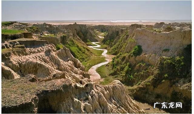 龙华公园塔叫什么名字 龙华寺风水