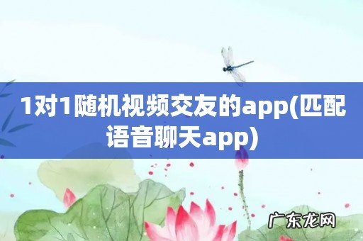匹配语音聊天app 1对1随机视频交友的app