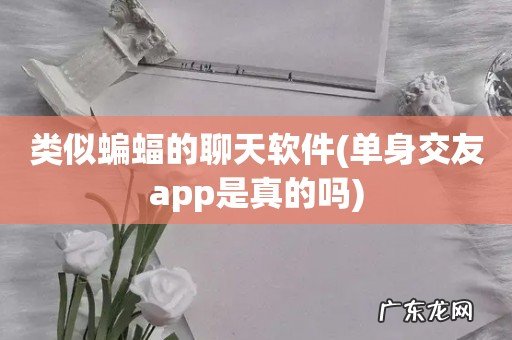 单身交友app是真的吗 类似蝙蝠的聊天软件