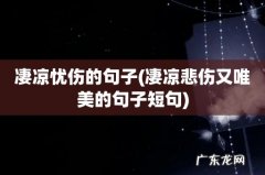凄凉悲伤又唯美的句子短句 凄凉忧伤的句子
