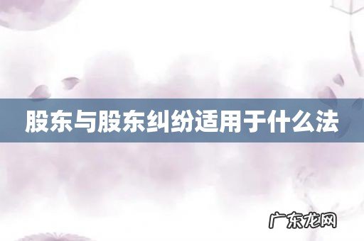 股东与股东纠纷适用于什么法