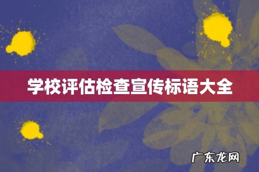 学校评估检查宣传标语大全