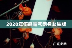2020年伤感霸气网名女生版