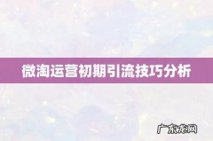 微淘运营初期引流技巧分析