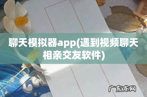 遇到视频聊天相亲交友软件 聊天模拟器app