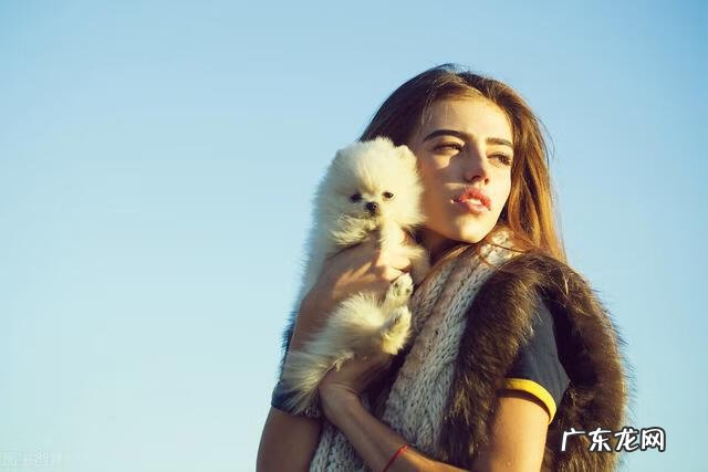 空白名复制 风水空白名片图片