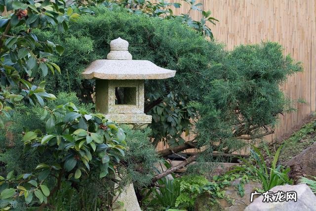 空白名复制 风水空白名片图片