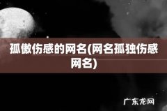 网名孤独伤感网名 孤傲伤感的网名
