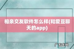 和爱豆聊天的app 相亲交友软件怎么样